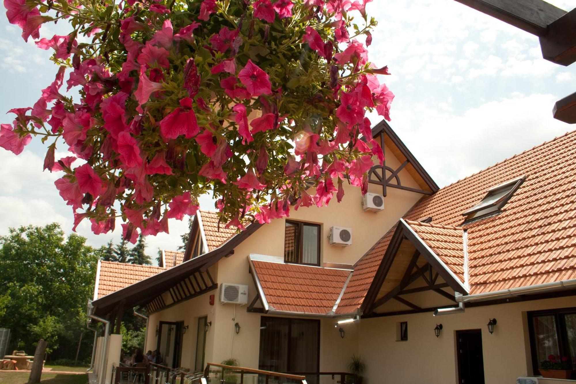 Neon2 - Vendeghaz Bed & Breakfast Oroshaza Luaran gambar