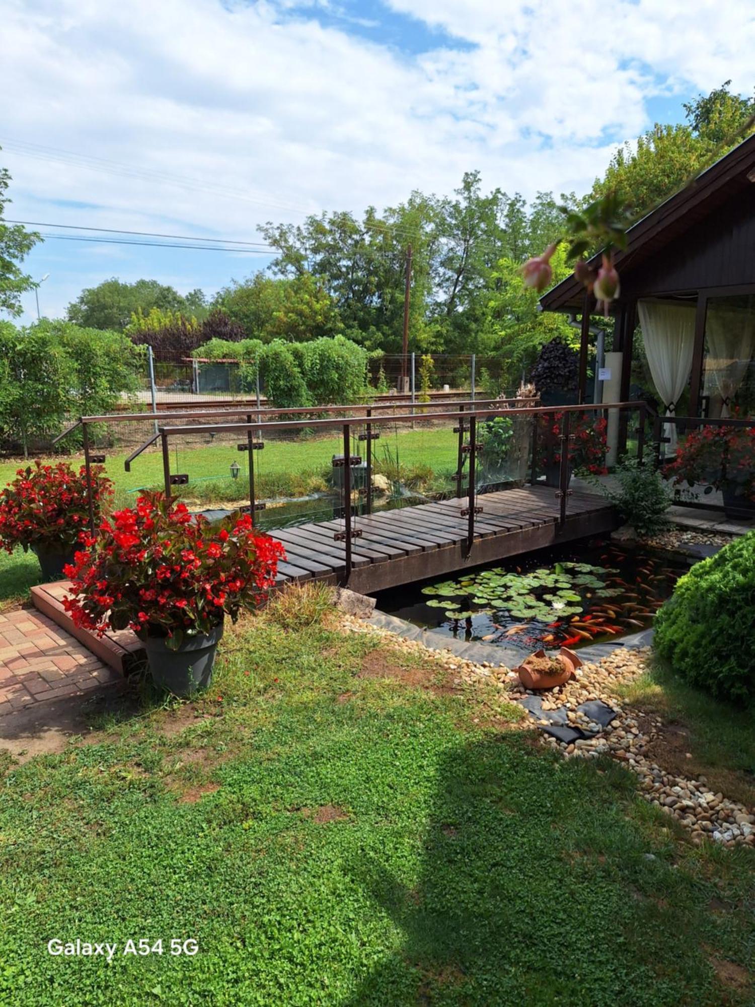 Neon2 - Vendeghaz Bed & Breakfast Oroshaza Luaran gambar